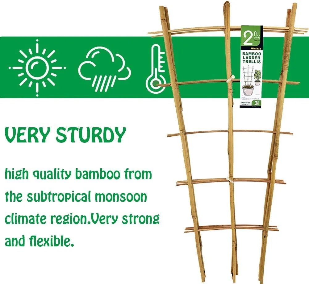 Natural Bamboo Stand 24 Inch High Garden Ladder Stand, Plant Stand