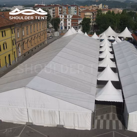 Heavy Duty Outdoor Canopy Marquee Exhibition Warehouse Event Party Wedding Tent for Sale